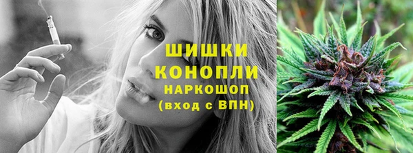 шишки Нея