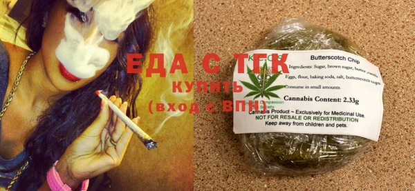 СК Новозыбков